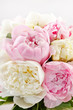 Rich bunch of peonies
