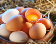 Chicken eggs in the straw.
