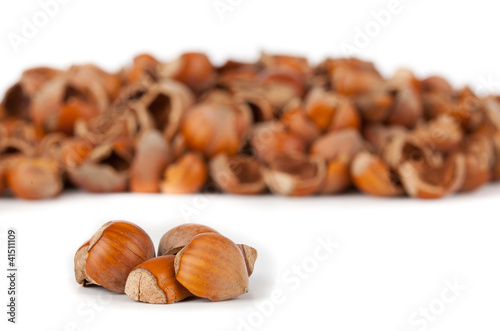 Photo: Biocombustibile: gusci di nocciole Biocombustibile: gusci di nocciole