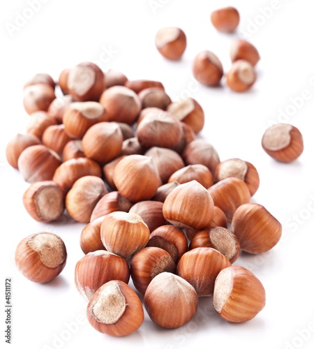 Photo: Nuts filberts isolated Nuts filberts isolated