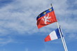 Drapeaux Français et Lyonnais Drapeaux Français et Lyonnais