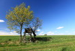 Hochsitz in freier Natur