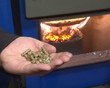 human hand hold pressed straw pellets for burn flame in boiler