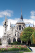 Rear view of Notre Dame