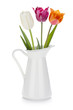Colored tulips in a jug Colored tulips in a jug