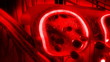 Human blood arteries and veins cut section