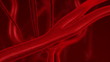 Human blood arteries and veins