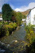 Stream