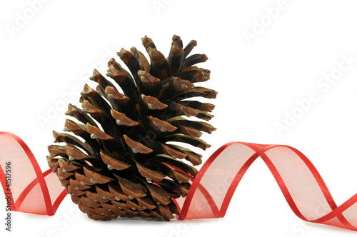 Foto: Tannenzapfen mit Geschenkband Tannenzapfen mit Geschenkband