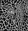 Giraffe pattern background