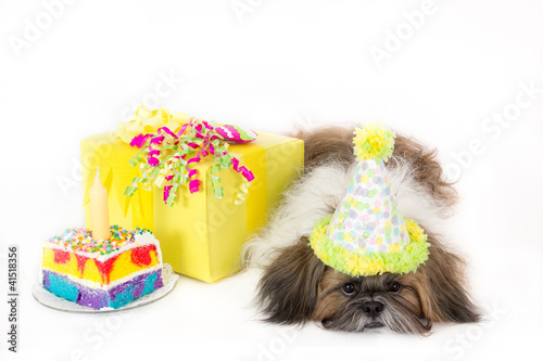 Photo: Birthday Doggy Birthday Doggy