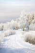 Rural landscape with snowy forest road