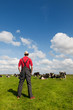 Typical Dutch landscape with farmer and cows Typical Dutch landscape with farmer and cows