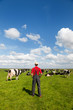Typical Dutch landscape with farmer and cows Typical Dutch landscape with farmer and cows