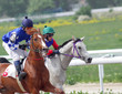 Horse racing.