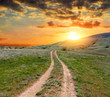 Road on green meadow in mountains