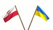 Europameisterschaft 2012 Flaggen von Polen - Ukraine