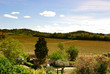 Vignoble du Languedoc