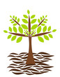 Abstract tree
