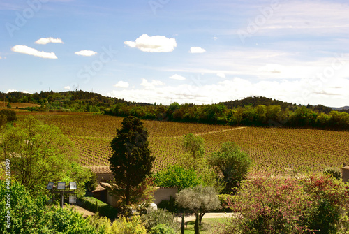 Foto: Vignoble du Languedoc Vignoble du Languedoc