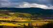 Alba sui campi coltivati a Sault Provenza Alba sui campi coltivati a Sault Provenza