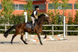 bambina a cavallo