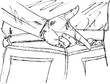 Vector: Sketch of man with crossed fingers behind his back. Vector illus Sketch of man with crossed fingers behind his back. Vector illus