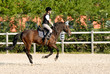 bambina a cavallo