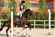bambina a cavallo