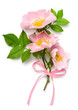 Dog rose bouqet