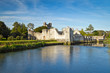 Ruins of Adare castle with reflection at summer time