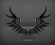 Wings black, vector