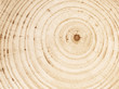 Natural unpainted wooden texture