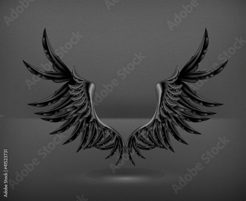 Vektor: Wings black, vector Wings black, vector