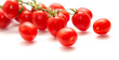 plum tomatoes on the vine plum tomatoes on the vine