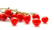 plum tomatoes on the vine plum tomatoes on the vine
