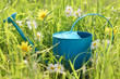 Watering can on grass