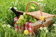 Picnic