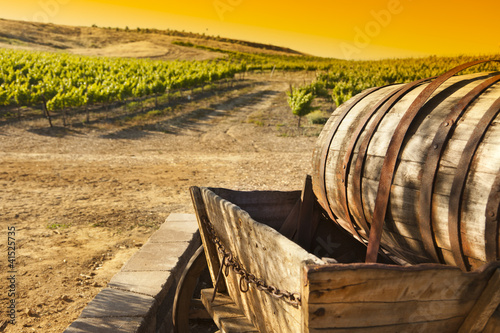 Photo: Grape Vineyard with Old Barrel Carriage Wagon. Grape Vineyard with Old Barrel Carriage Wagon.