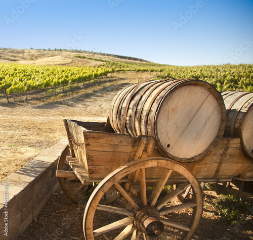 Photo: Grape Vineyard with Old Barrel Carriage Wagon. Grape Vineyard with Old Barrel Carriage Wagon.