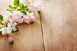 flowers on wooden background