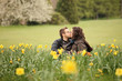in daffodils