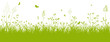 Blumenwiese, Gras, Wiese, Grün, Feldwiese, Sommer, Frühling