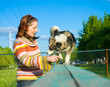 Foto: woman is dog training woman is dog training