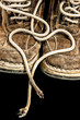 Old shoes