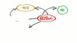 Video: Risk management flow chart diagram animation video Risk management flow chart diagram animation video