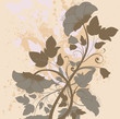 vintage floral background