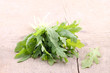 Rucola