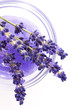 Photo: Lavender Spa Lavender Spa