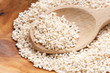 Amaranth popping, gluten-free, high protein grain cereal